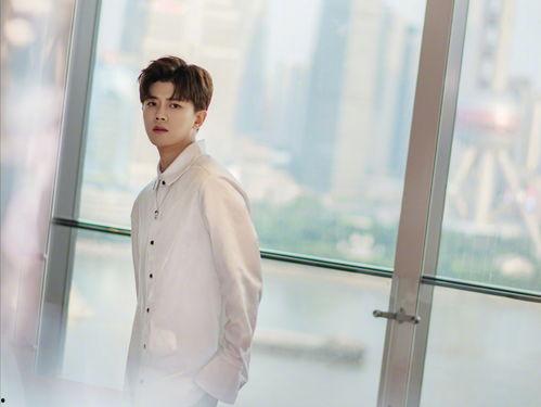 任嘉伦侄女爆料视频播放,揭秘明星家族背后的故事